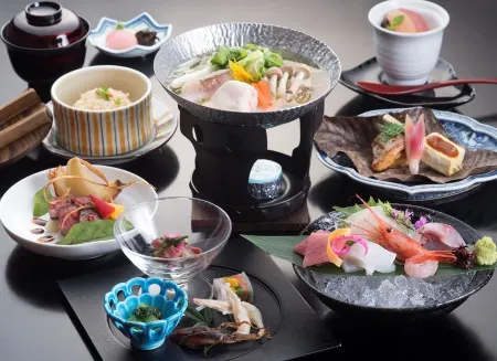 Palais Blanc Koshikaikan Отели в г. Тояма