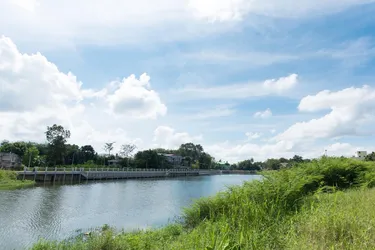 รูปภาพของตลาดน้ำคลองแหรีสอร์ท