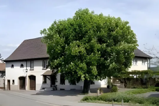 Restaurant-Hotel Maien