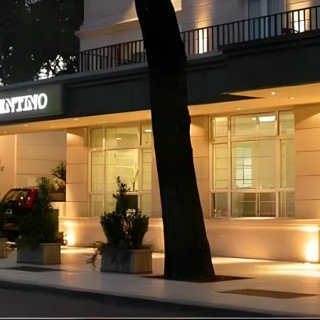 Argentino Hotel Отели в г. Мендоса