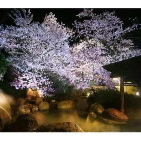 Shogawa Onsen Yumetsuzuri