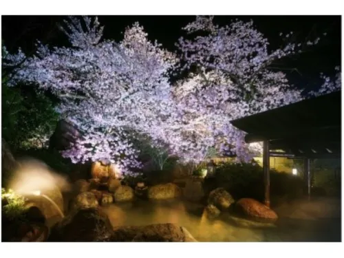 Shogawa Onsen Yumetsuzuri - Alloggi