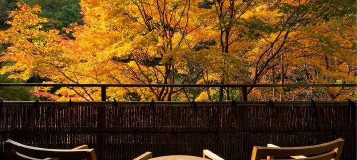 Ryotei Kaichoro Hotel di Shibukawa