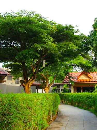 รูปภาพของอ่าวช่อ แกรนด์วิว ไฮด์อะเวย์ รีสอร์ท