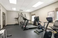 Best Western Plus Savannah Airport Inn  Suites - gimnasio