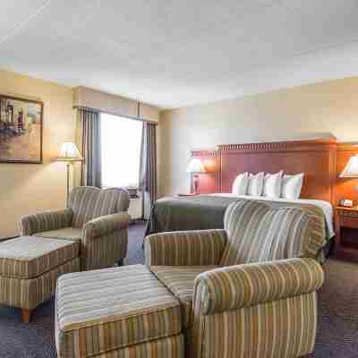 灣前品質酒店及套房 Rooms