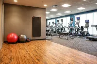 Fairfield Inn & Suites Madison Verona - Træningscentre