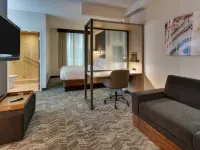 SpringHill Suites Birmingham Downtown at UAB Hotels near Five Points South