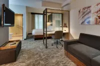 SpringHill Suites Birmingham Downtown at UAB - 3-Star