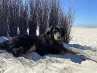 Quiet holiday apartment in Minsen Schillig on the natural beach