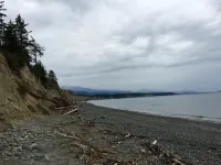 Private Beach Access, Clean, Comfortable Home between Sequim & Port Angeles