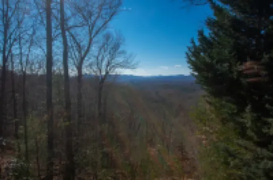 3 Deer Cabin - Fireplace - Mountain View