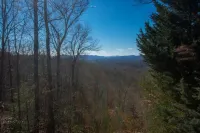 3 Deer Cabin - Fireplace - Mountain View