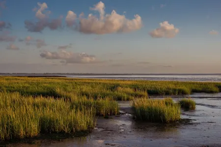 Cozy and charmingly furnished 30sqm apartments in a central location in Husum Отели рядом с достопримечательностью «Парк Хузумер Шлос»