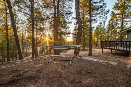 Cozy Winter Cabin! On 1 Acre w Wood Burning Fireplace and Dark Skies!