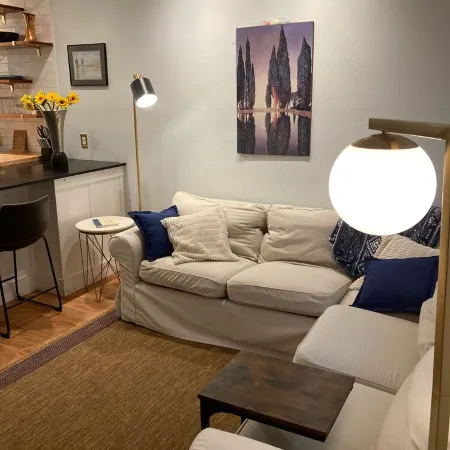 Comfortable Modern Condo near Downtown