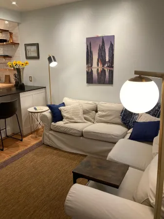 Comfortable Modern Condo near Downtown