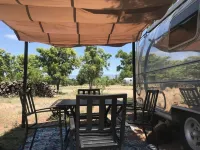 Gila Vintage Airstream RV- pet friendly