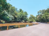 Game Day Getaway: Pet-Friendly Razorback Stay