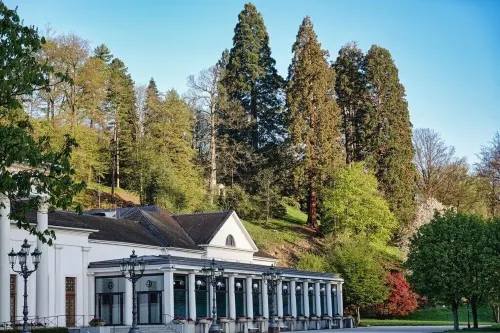 Modern apartment in Baden-Baden (70sqm On foot into the city and nature.