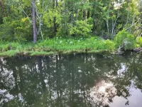 Private Rustic Creekside RV+15 Min Drive to Beach Fenced Parking Lot