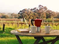 Lost in the Vines. Vineyard Escape.
