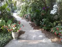 Charming Private Garden Cottage hide away in the heart of Sarasota Hotels near Ringling College of Art and Design