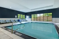 Hampton Inn & Suites by Hilton Burlington Toronto - Pools