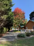 Lazy Lake Cabins - Cozy comfort in the Blue Ridge Mountains