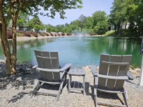 The Lake view by the Truist Park