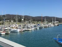 Stylish Seaside Guest House, Walking to Beach Hotels in El Granada