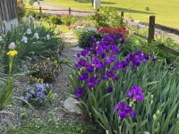 Cozy 2 Bedroom Guesthouse at High Corner Farm The Adventure Guild 주변 호텔