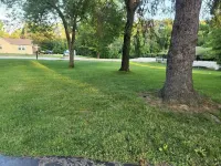 Cozy and Comfortable Home in West County