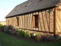 INDEPENDENT HOUSE 'hydrangeas' more than 50 varieties of hydrangeas