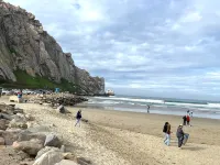 Fog & Stars Cottage -  Just steps to Embarcadero, water & downtown! DSRV Avalon 주변 호텔