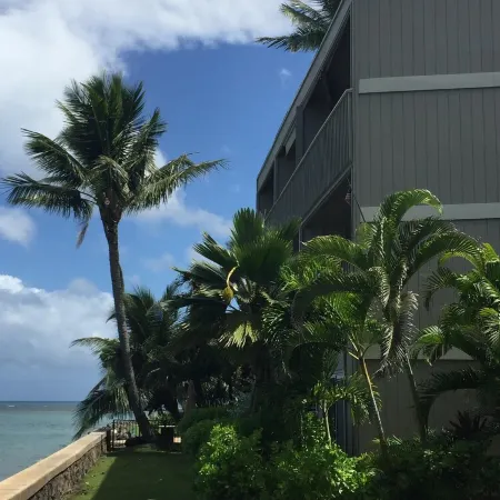 Maui is calling....it's a great time to take a trip!