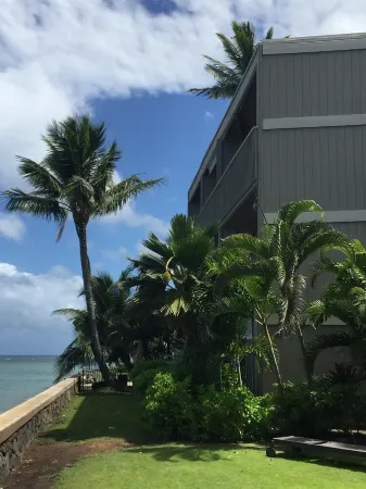 Maui is calling....it's a great time to take a trip!