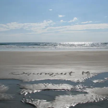 Classic Maine Beach Cottage - In the Heart of Ogt. Village , Walk to everything