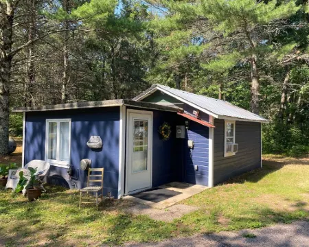 Blue Birch Cabin - Hatfield, WI โรงแรมในJackson County