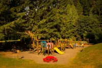 Glacier Hideaway - Mt. Baker Cabin - AC, Hot Tub, BBQ, WiFi, EV