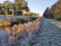 Apartment Veronika, Apen