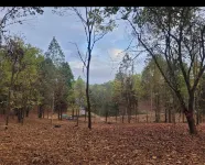 Camper on campsite