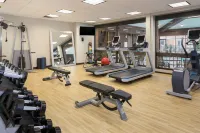 DoubleTree by Hilton Hotel Syracuse - Gym
