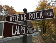 Wintergreen Resort: Weeping Rock Retreat
