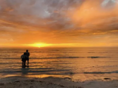 Stunning beachfront view , Hoteles en Wallaroo