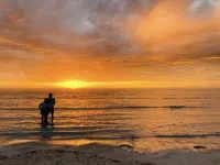 Stunning beachfront view , Hotels in Wallaroo