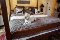 Horsing Around In The Barn (Pet friendly) Hotels near Walla Walla Town Center