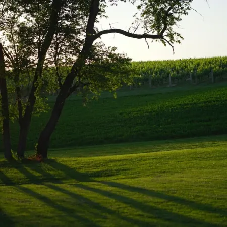 Winery & Vineyard Loft with 1000+ acres of hiking. Farm with Goats & Horses