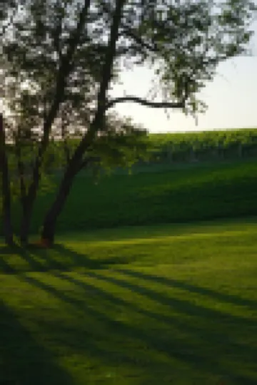 Winery & Vineyard Loft with 1000+ acres of hiking. Farm with Goats & Horses