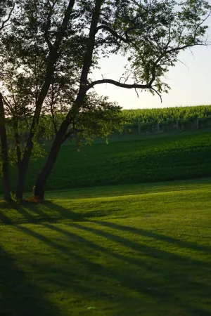 Winery & Vineyard Loft with 1000+ acres of hiking. Farm with Goats & Horses